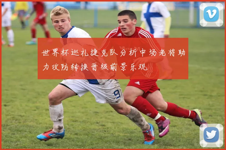 世界杯巡礼捷克队分析中场老将助力攻防转换晋级前景乐观